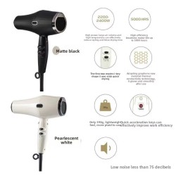 Professional 1500w Salon Quick Dry Electric Hair Dryer High-Speed Strong Wind Styler with Styling Nozzles